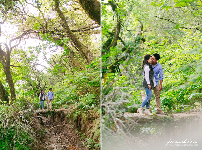 11a Muir Woods Engagement Session photography