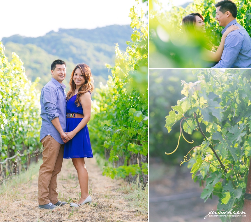 15 Napa Valley Engagement Photography